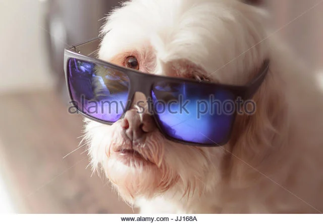 Blue paint for down pipes