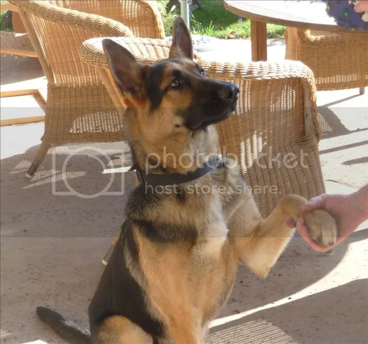 security \ whats best