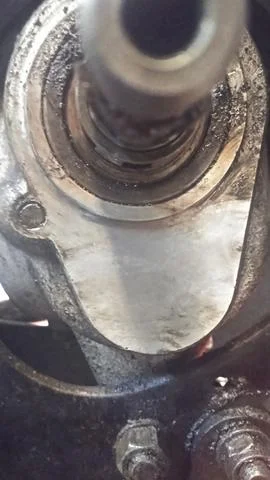 Time for Trixie to Go Under the knife