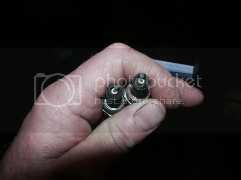 Gettin ready to rally