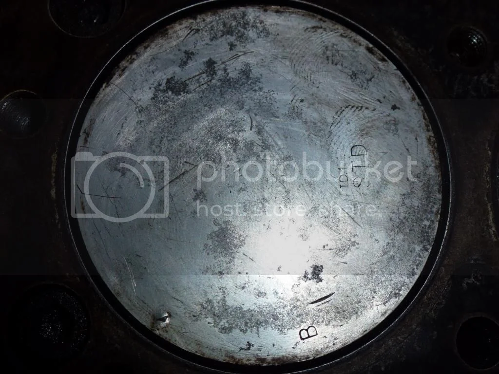 commando 850 sulking