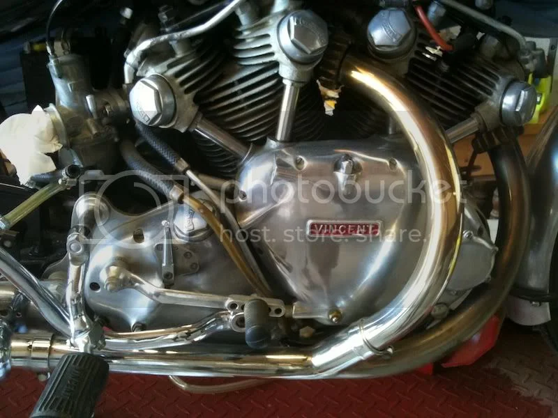 Was looking at a pretty little manx...