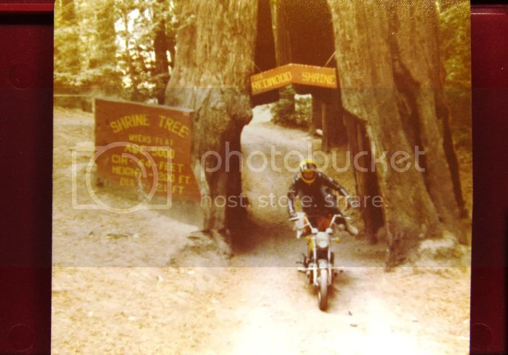 Pictures of your Norton Commandos