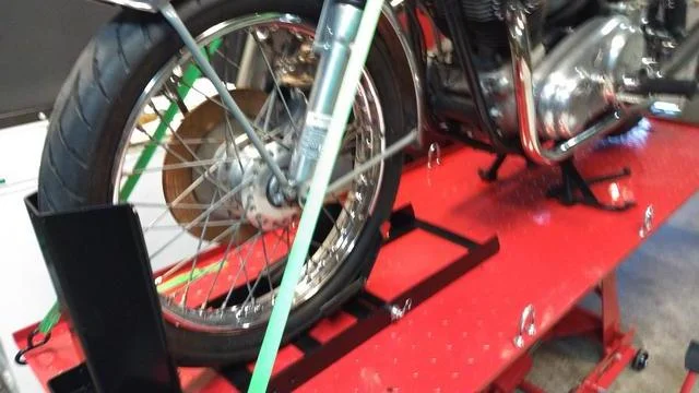 Time for Trixie to Go Under the knife