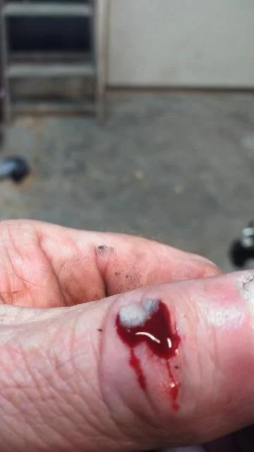 Time for Trixie to Go Under the knife