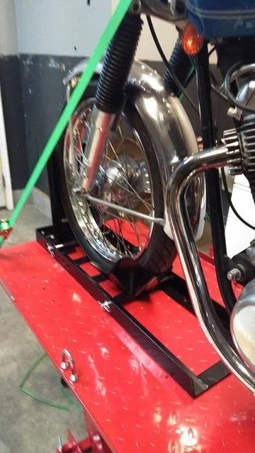 Time for Trixie to Go Under the knife