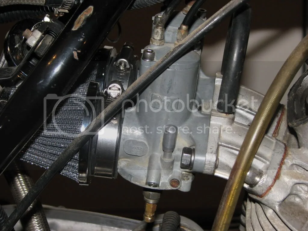 Another winter resurrection