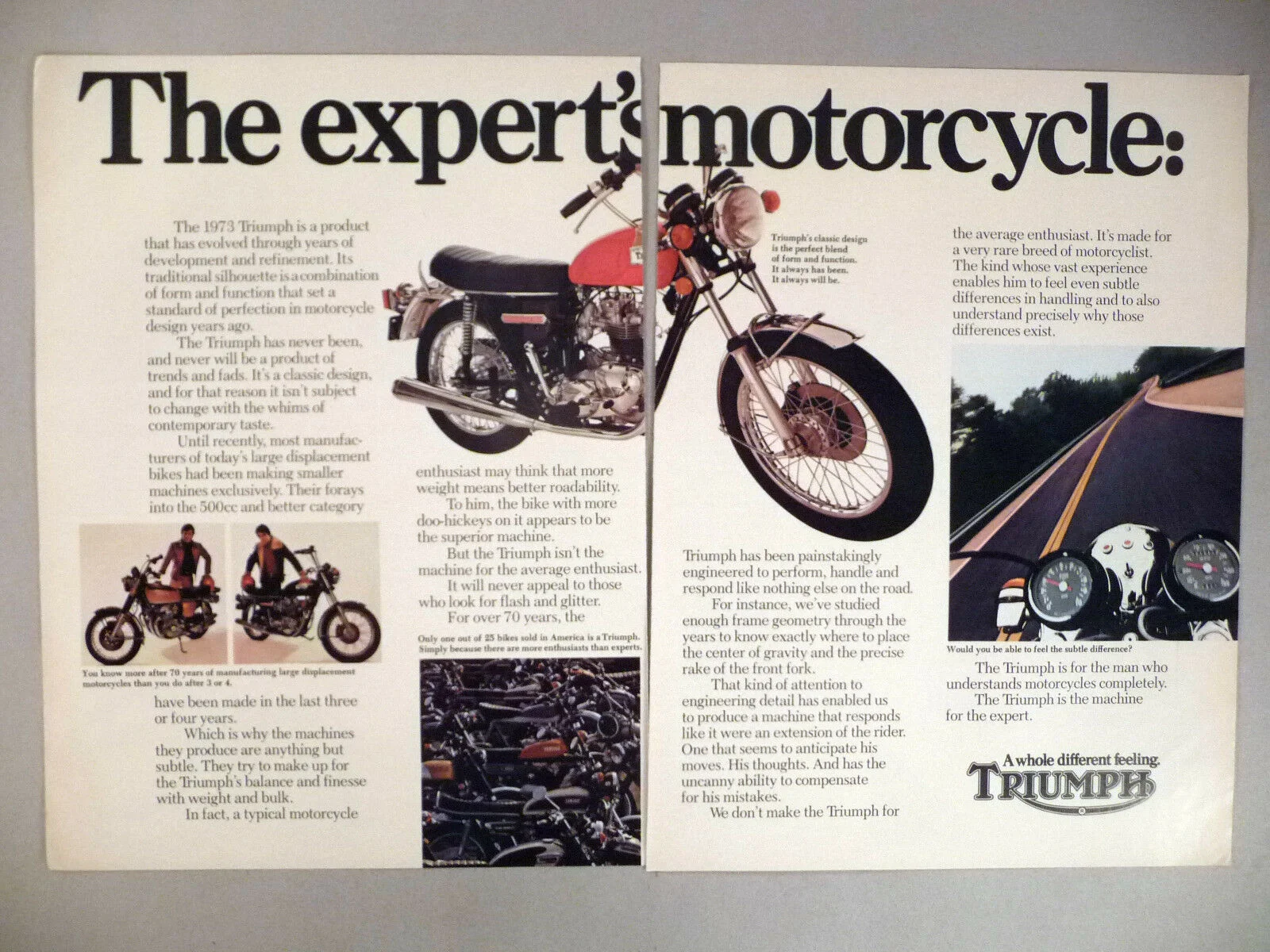 I know you all will love this...