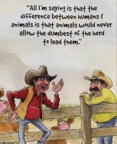 Post your jokes and humor here.