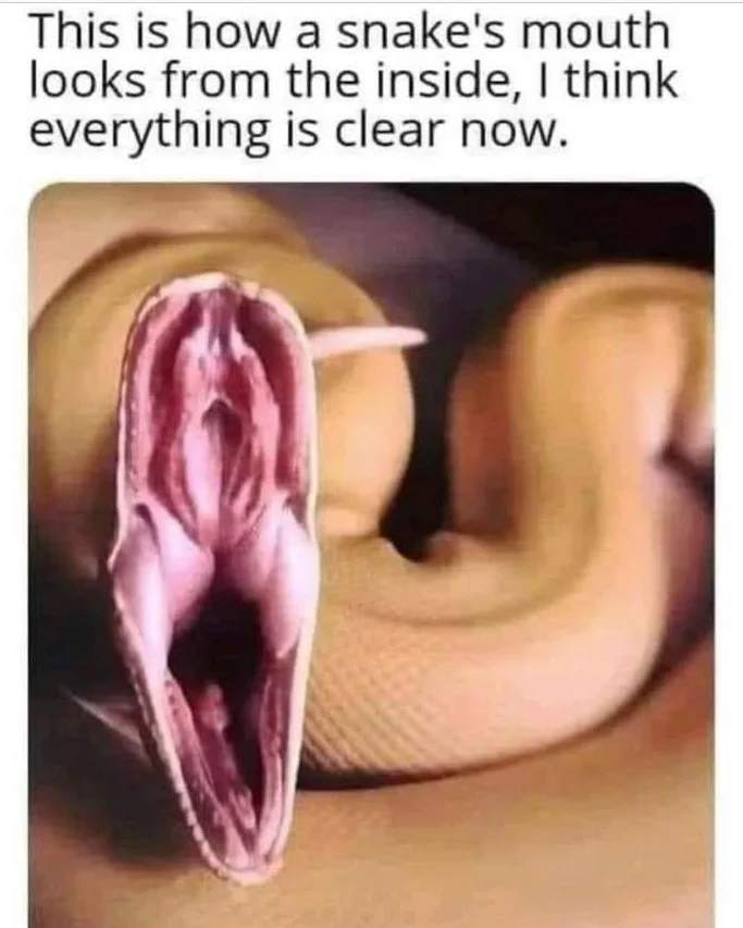 Post your jokes and humor here.