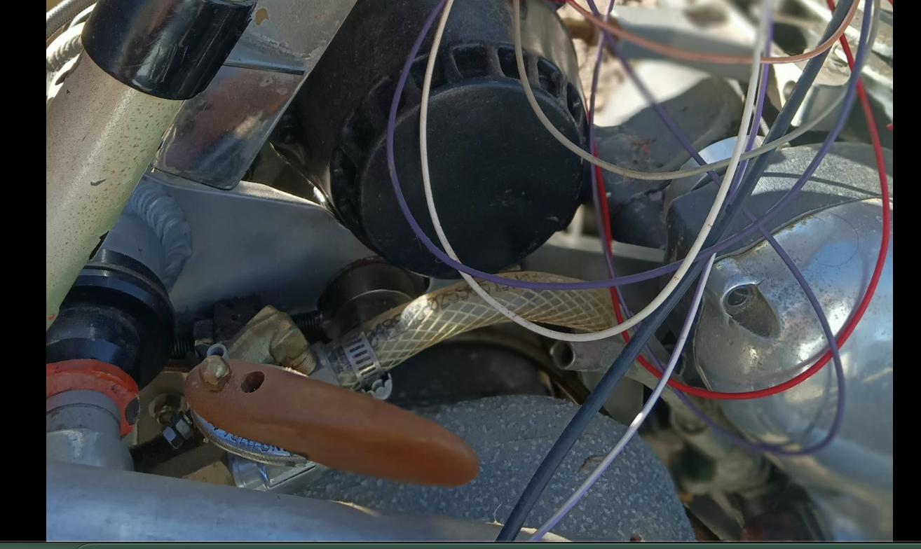 Ms peel and Trixie for sale on Facebook