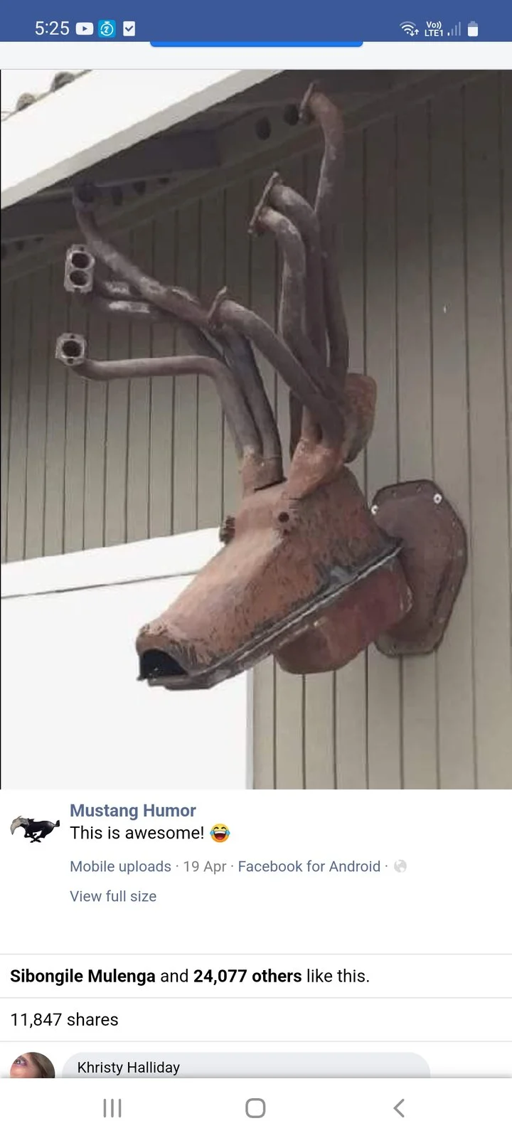 Post your jokes and humor here.