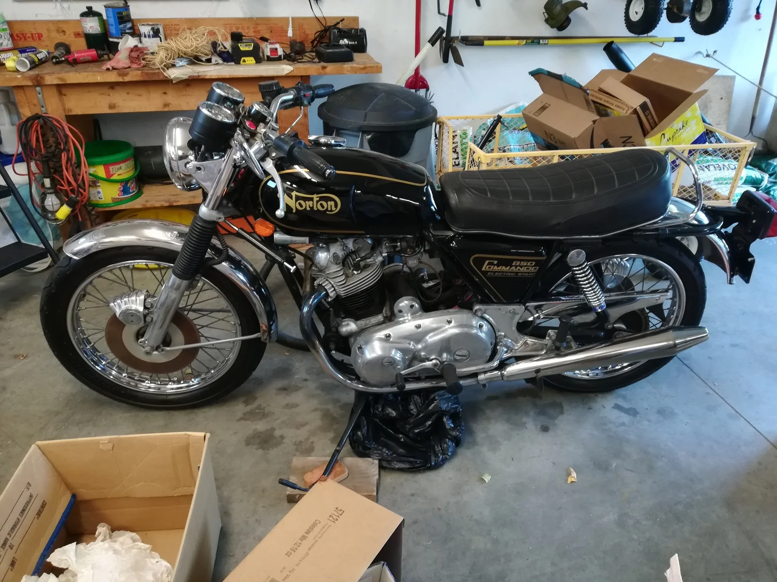 Spotted a wild MK3 today