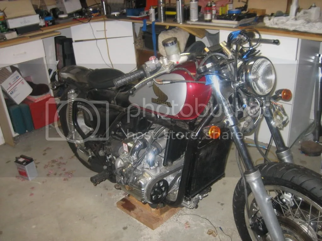 Shaking down an old dog