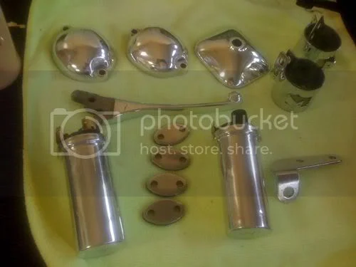 Peashooter separation anxiety