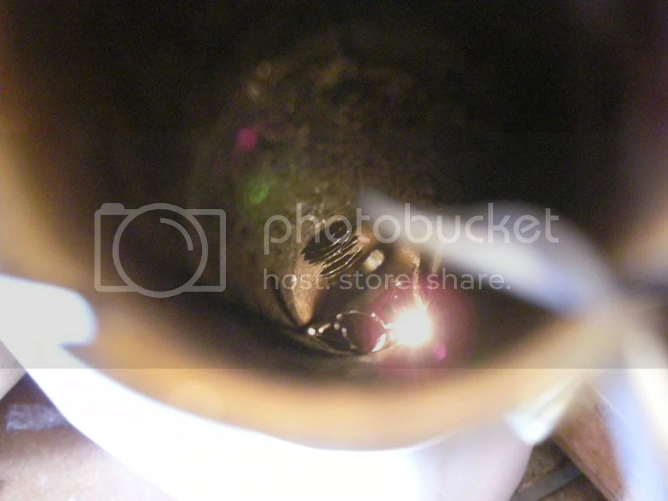 750 Roadster Exhaust Silencers