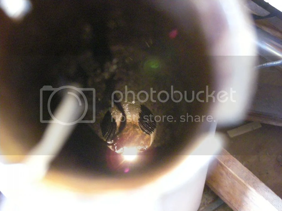 750 Roadster Exhaust Silencers