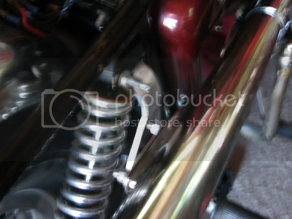 Another winter resurrection