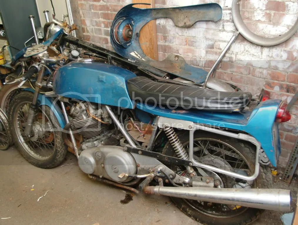 Glorious Home Coming Reunion!