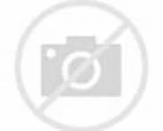 Any Harley XR1200 riders out there?