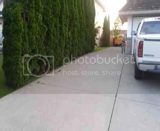 Freshly (finally) restored N15