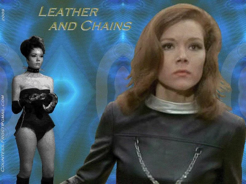 Longchamps Norton Cafe