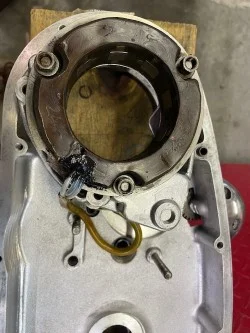 What Did You Do With Your Commando Today?