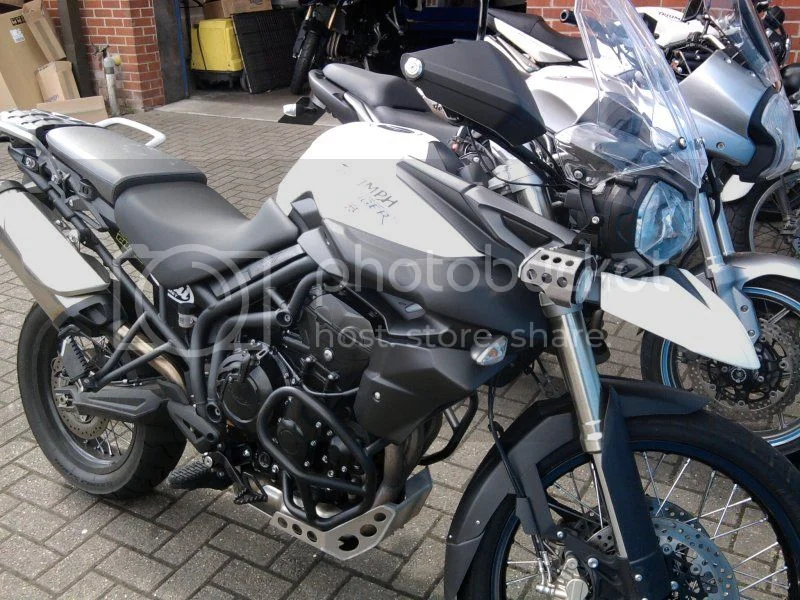 May be giving up this Commando thing...