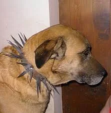 Kill Switch got me today