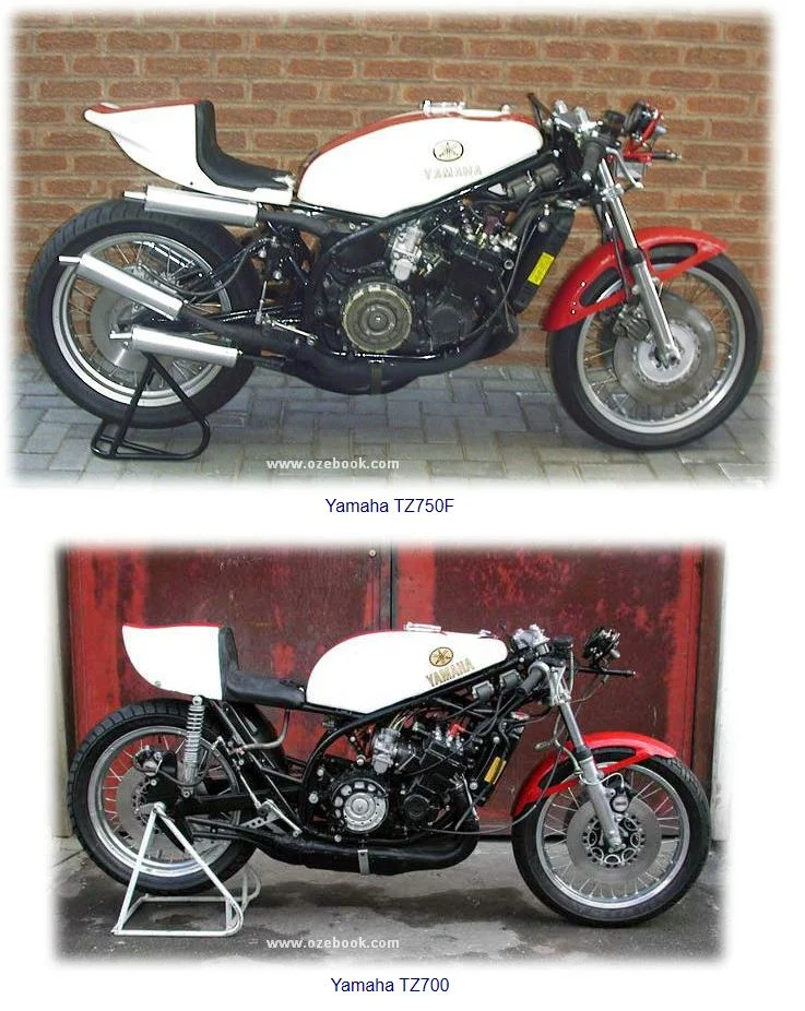 Dick Mann Lean angle