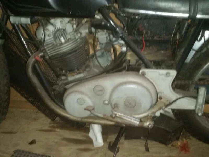 Newcomer looking for buying advice