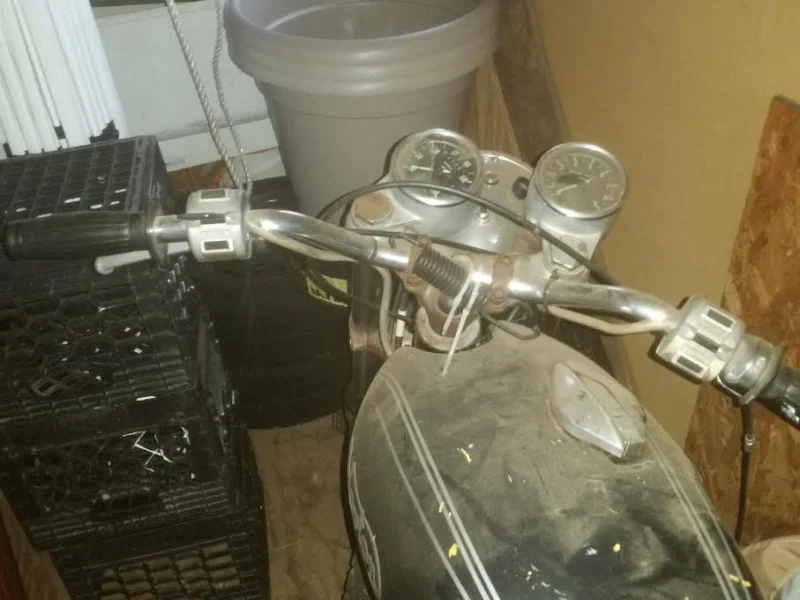 Newcomer looking for buying advice