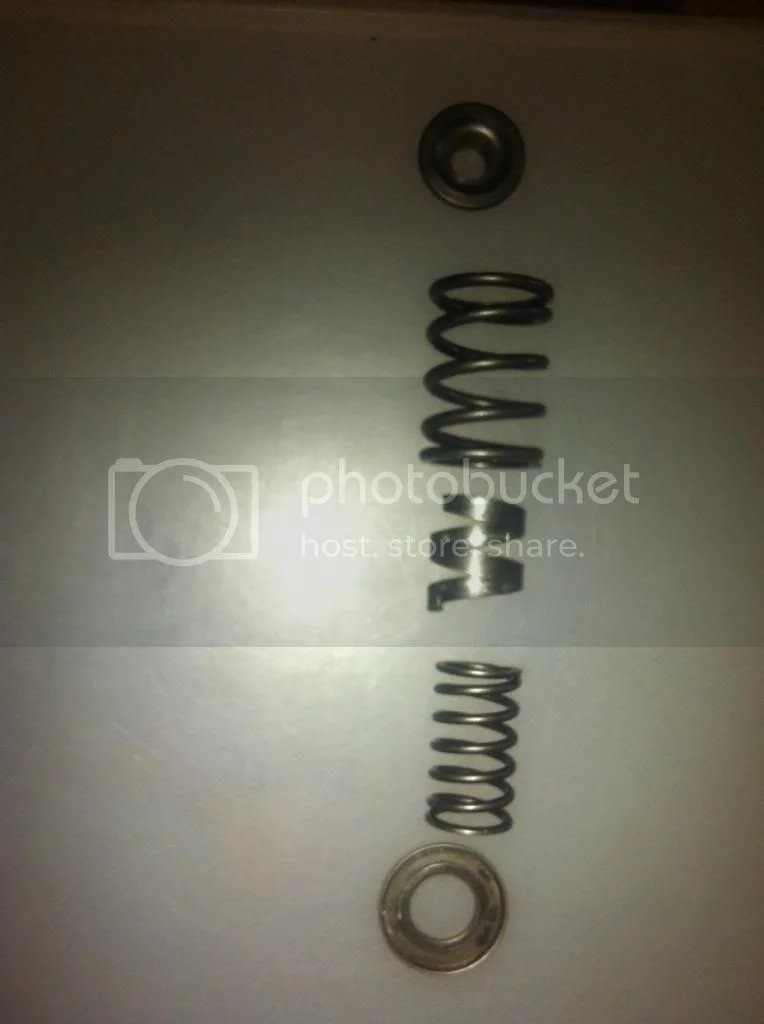 Unusual valve springs