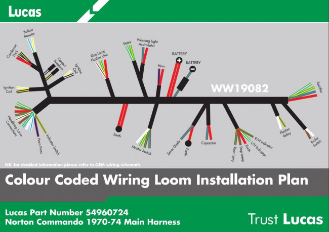 wiring loom question esp: horn connection/ whats what