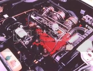 Rare as hen's teeth, "Fireflake Golden Bronze" ?