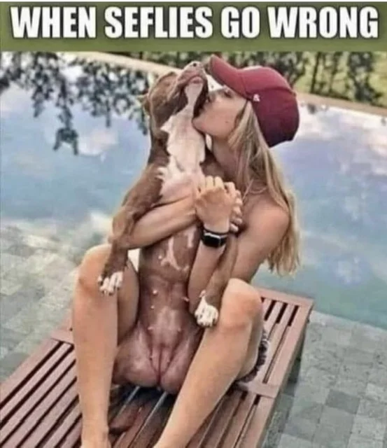 Post your jokes and humor here.