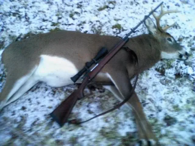 Post your jokes and humor here.