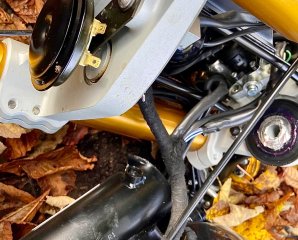 IMG_1171.jpeg IMG_1171.jpeg