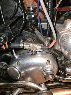 20260615_115356.jpg