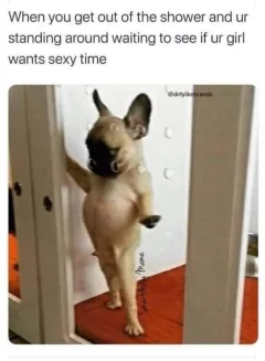 Post your jokes and humor here.