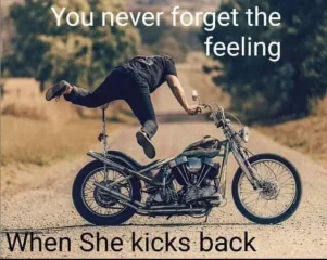 Post your jokes and humor here.