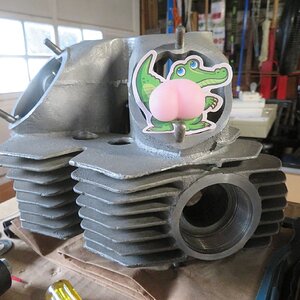 Alligator butt