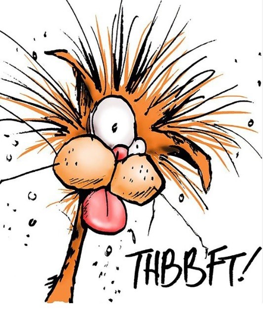 There are Mechanics, and there are "Parts changers"